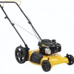Poulan Pro Briggs and Stratton Gas Engine Bagless Law Mower