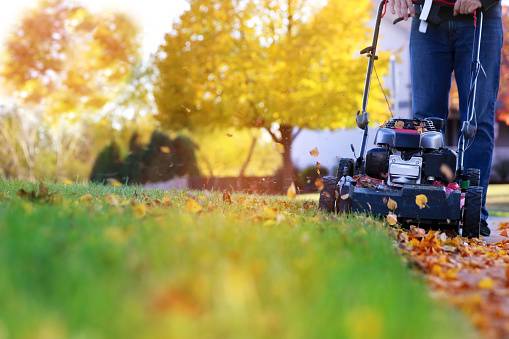How to pick up leaves with lawn mower