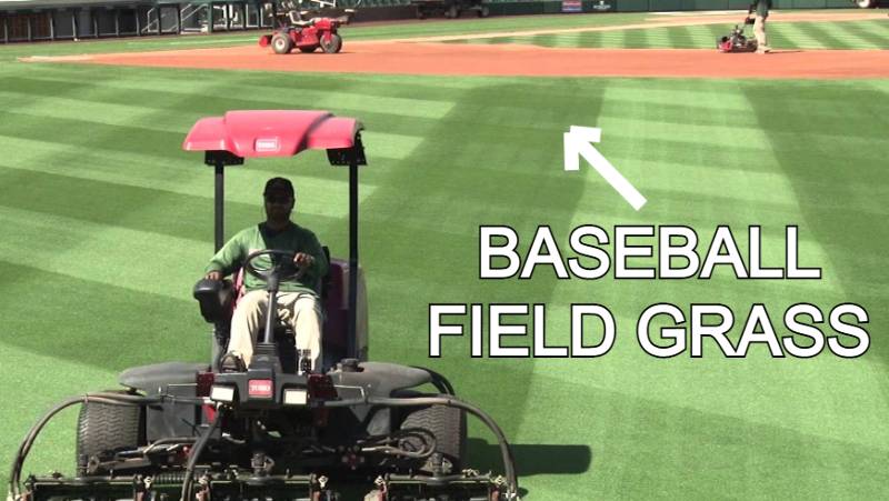 Baseball field grass featured image