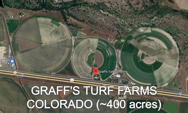 Graffs Turf Farms Colorado