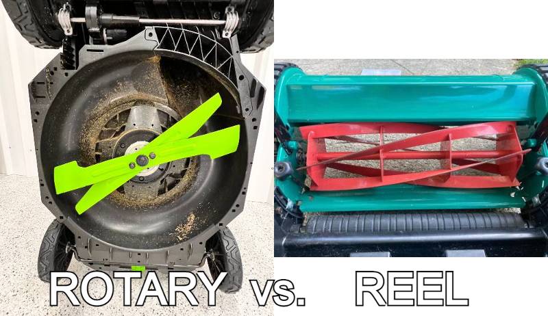 Rotary vs reel mower feature image